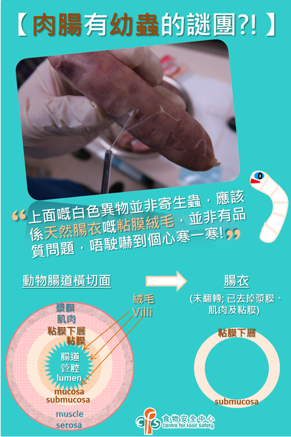 煮肉腸浮出大量 寄生蟲 少女以為蛆蟲證虛驚一場 附食安中心意見 晴報 時事 熱話 D1901