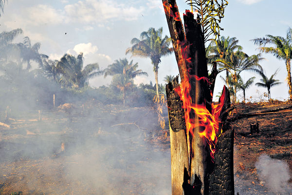 亞馬遜毀林巨災 巴西總統指控NGO縱火