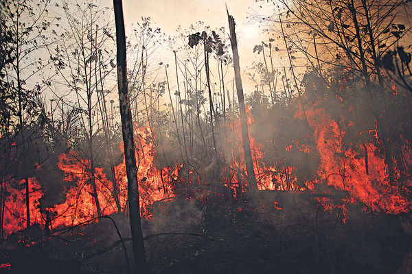 亞馬遜大火未受控 巴西4萬士兵撲救