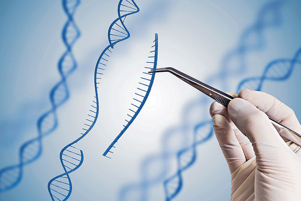 新基因編輯技術 助治罕見遺傳病
