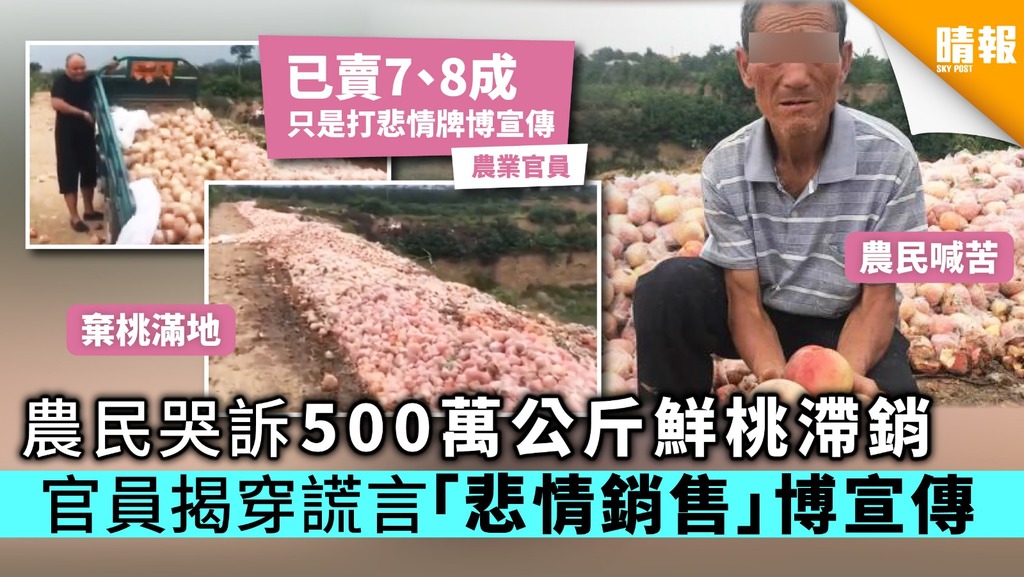 500萬公斤鮮桃滯銷哭訴惹同情 官員揭穿謊言「悲情銷售」搏宣傳