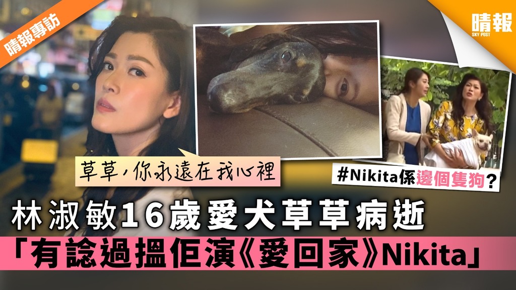 林淑敏16歲愛犬草草病逝 「有諗過搵佢演《愛回家》Nikita」
