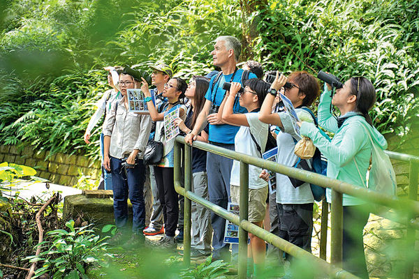 罕見香港後稜蛇 現身龍虎山 生態調查 錄156種動物