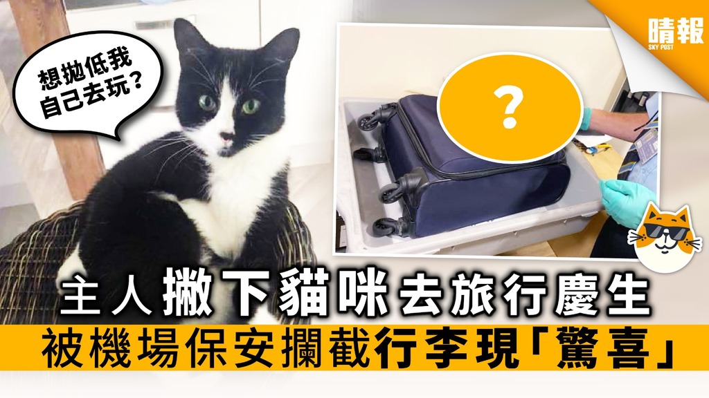 主人撇下貓咪去旅行慶生 被機場保安攔截 行李現「驚喜」