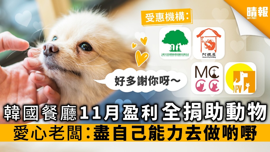 韓國餐廳11月盈利全捐助動物 愛心老闆：盡自己能力去做啲嘢