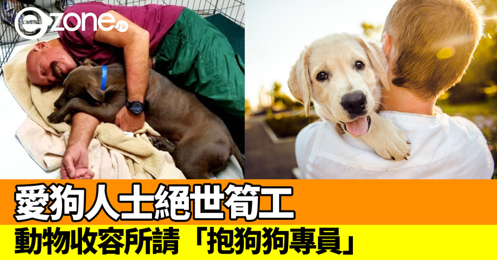 絕世筍工 動物收容所請 抱狗狗專員 Ezone Hk 網絡生活 網絡熱話 D