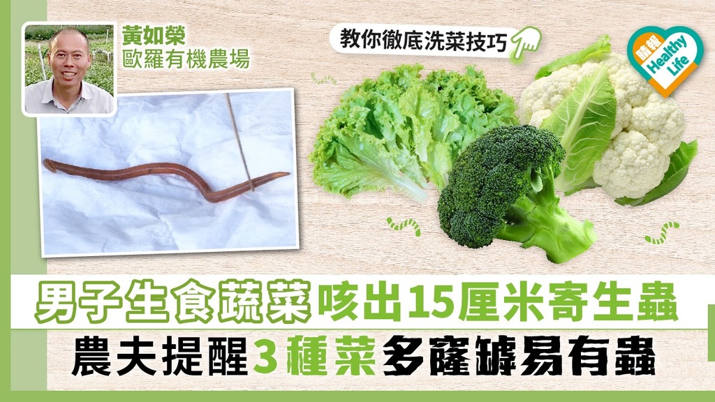 【蔬菜寄生蟲】男子生食蔬菜咳出15厘米寄生蟲 農夫提醒3種菜多窿罅要小心