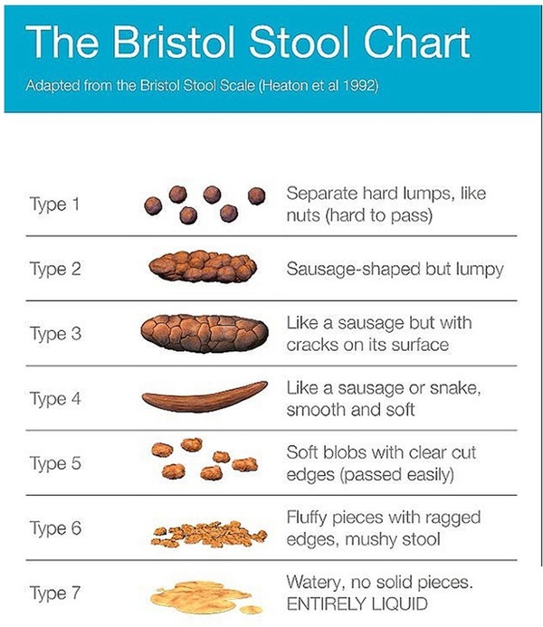 科技公司徵人类大便相片建数据库 ai 分析形状颜色浓度