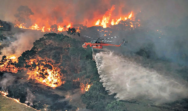 熱浪周六重臨 澳山火勢惡化 新南威爾士州籲遊客撤離