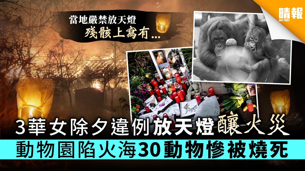 【德國動物園大火】3華女除夕放天燈釀火災 動物園陷火海30動物慘被燒死