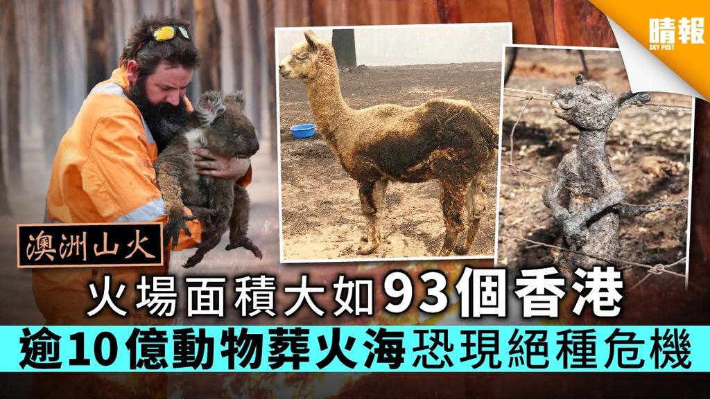 【澳洲山火】火場面積大如93個香港 逾10億隻動物葬火海恐現絕種危機