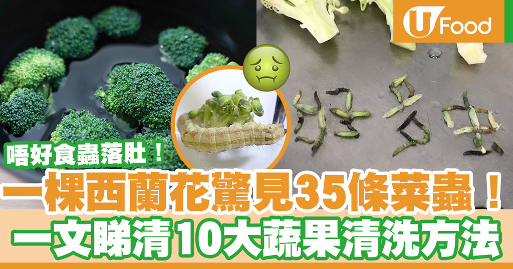 洗蔬果 一棵西蘭花驚見35條菜蟲 教你正確清洗蔬菜方法去除農藥菜蟲 U Food 香港餐廳及飲食資訊優惠網站
