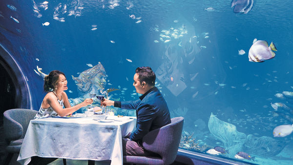 布吉水族館 美人魚陪你共享晚餐