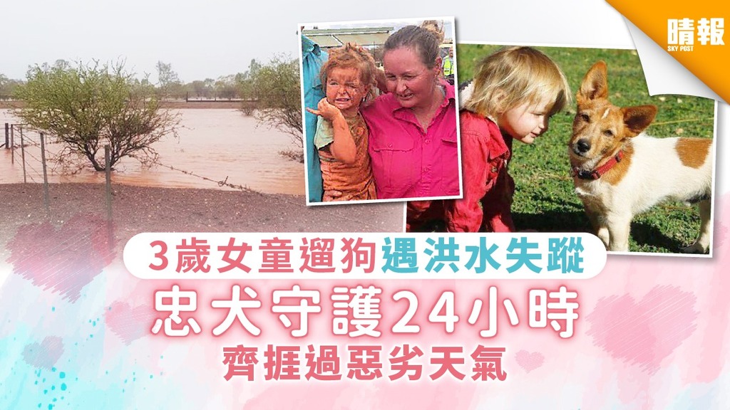 3歲女童遛狗遇洪水失蹤 忠犬守護24小時 齊捱過惡劣天氣