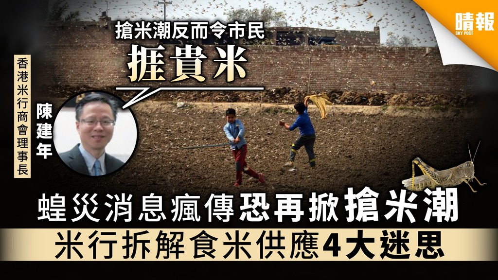 蝗災消息瘋傳恐再掀搶米潮 米行拆解食米供應4大迷思