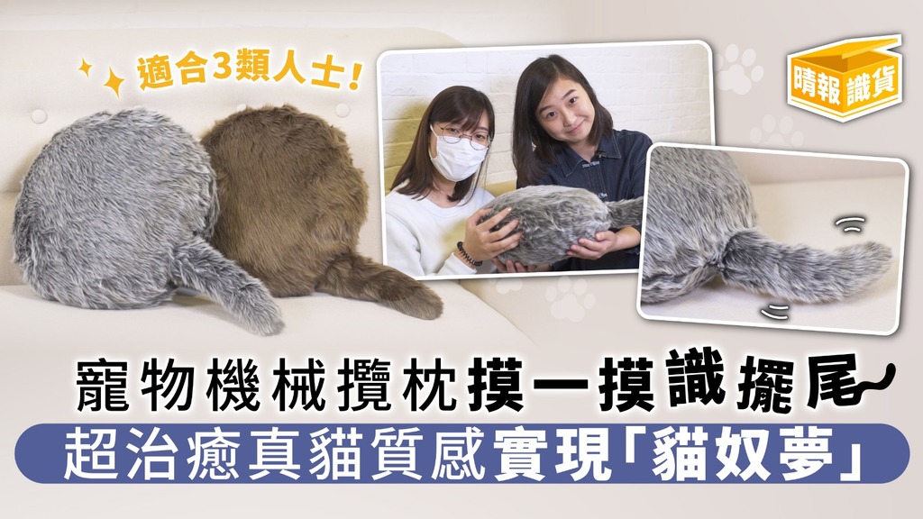  寵物機械攬枕摸一摸識擺尾 超治癒真貓質感實現「貓奴夢」 