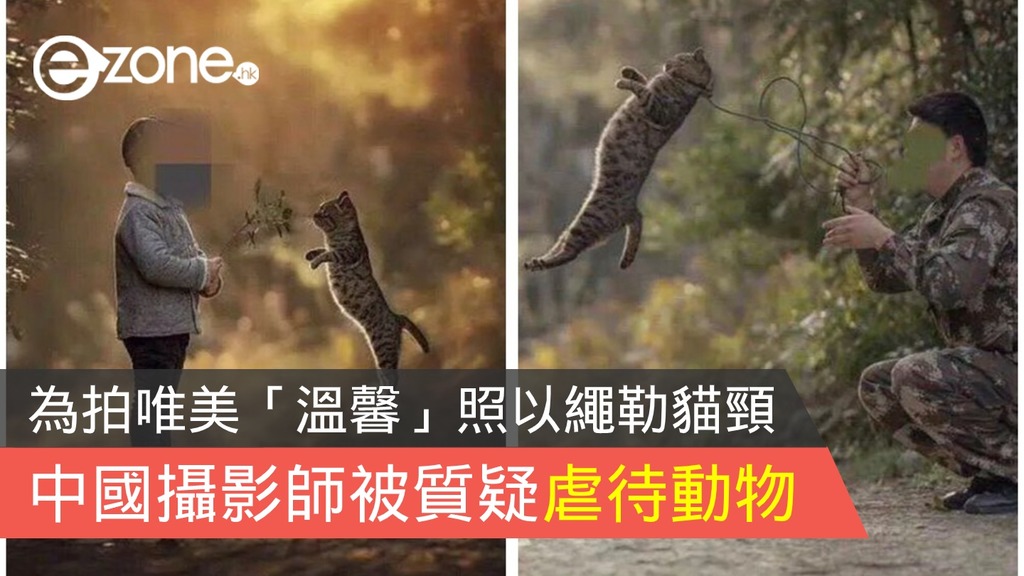 為拍唯美「溫馨」照以繩勒貓頸中國攝影師被質疑虐待動物- ezone.hk 