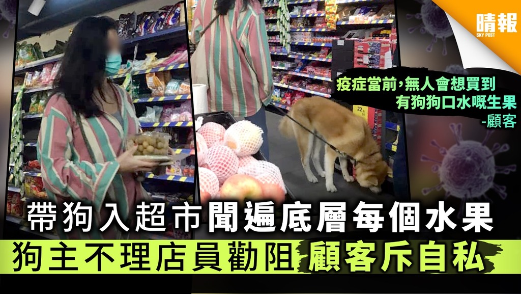 【無公德心】帶狗入超市聞遍底層每個水果 狗主不理店員勸阻顧客斥自私