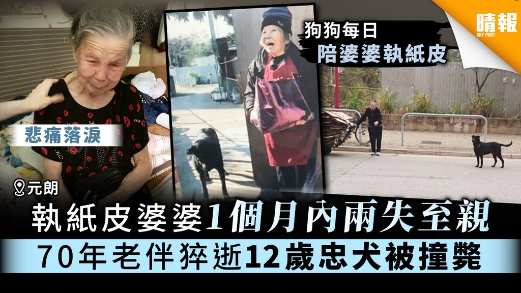 【雙重打擊】拾紙皮婆婆1個月內兩失至親 70年老伴猝逝12歲忠犬被撞斃