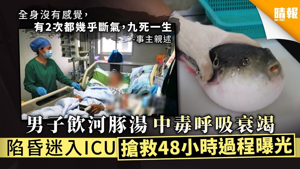 【食物中毒】男子飲河豚湯中毒呼吸衰竭 陷昏迷入ICU搶救48小時過程曝光