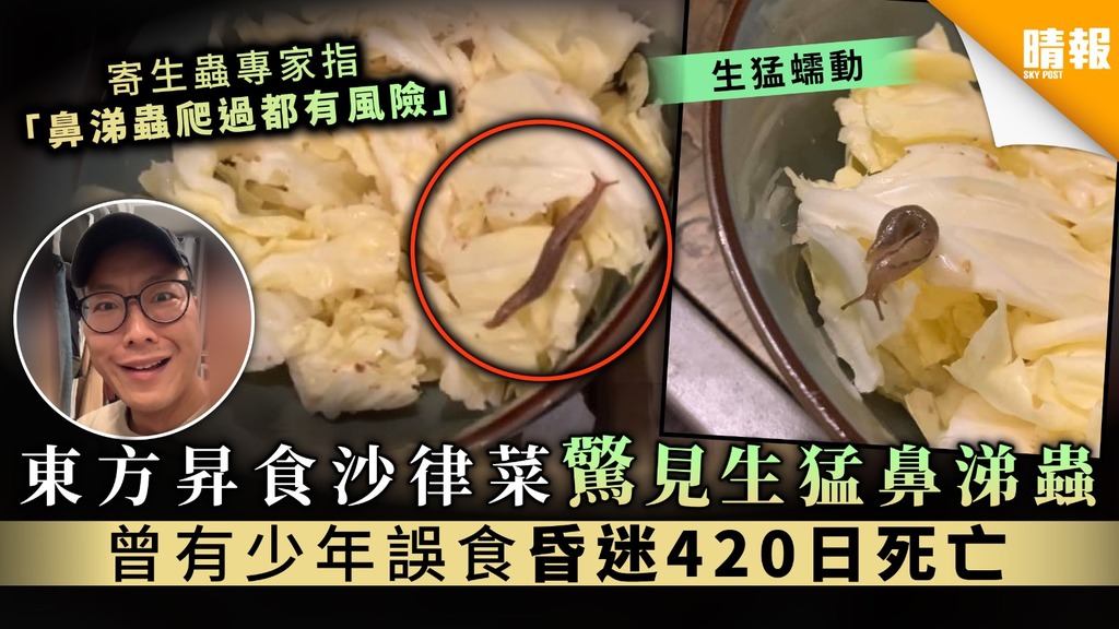 【食物安全】東方昇食沙律菜驚見生猛鼻涕蟲 曾有少年誤食後昏迷420日死亡