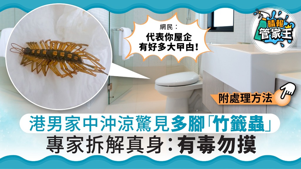 【蟲出沒注意】港男家中沖涼驚見多腳「竹籤蟲」 專家拆解真身：有毒勿摸【附處理方法】