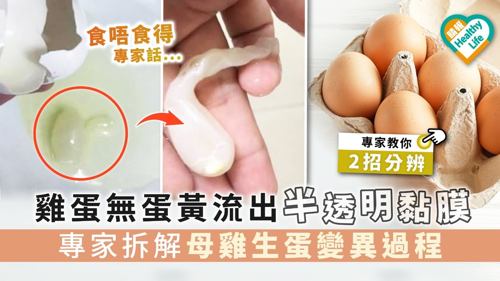 【食用安全】雞蛋無蛋黃流出半透明黏膜 專家拆解母雞生蛋變異過程【附2招分辨法】