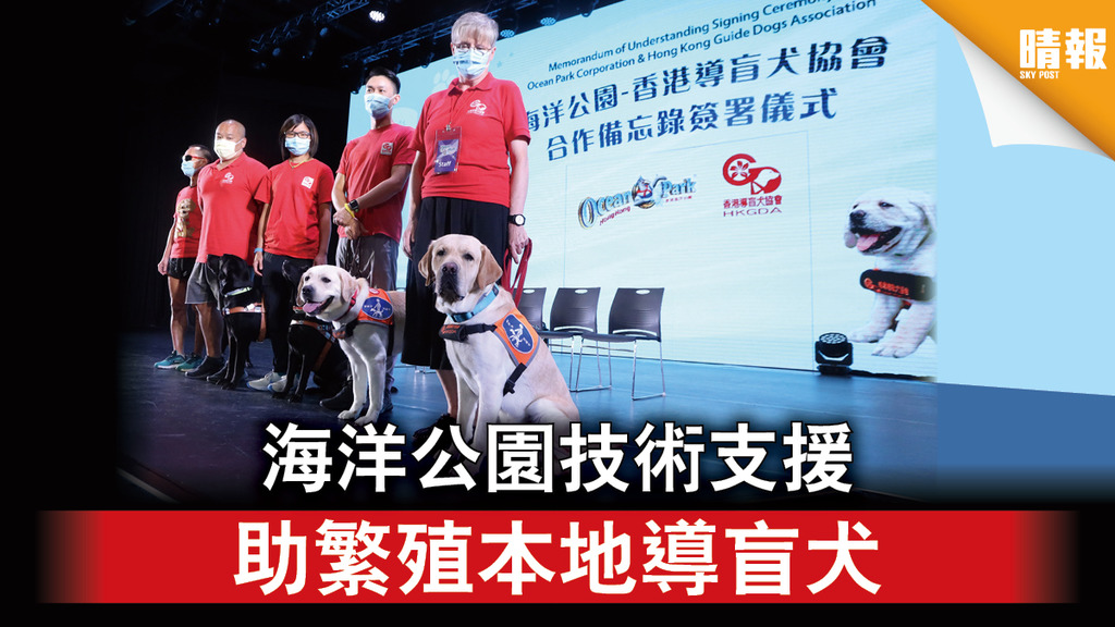 【導盲犬】海洋公園技術支援 助繁殖本地導盲犬