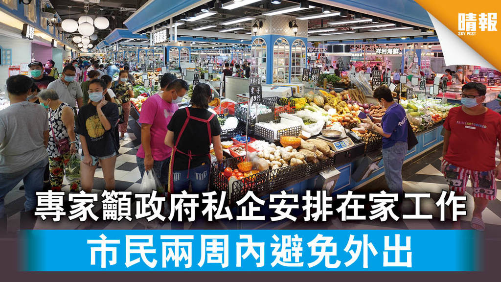 【新冠肺炎】專家籲政府私企安排在家工作 市民兩周內避免外出
