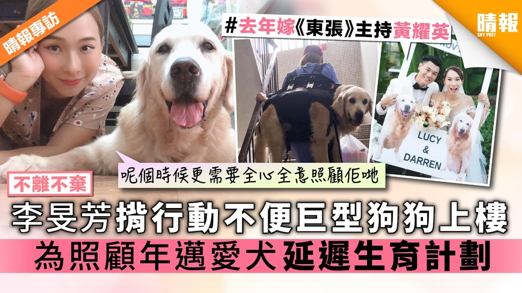 【不離不棄】李旻芳揹行動不便巨型狗狗上樓  為照顧年邁愛犬延遲生育計劃
