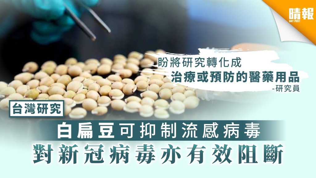 【新冠肺炎】台灣研究：白扁豆可抑制流感病毒 對新冠病毒亦有效阻斷
