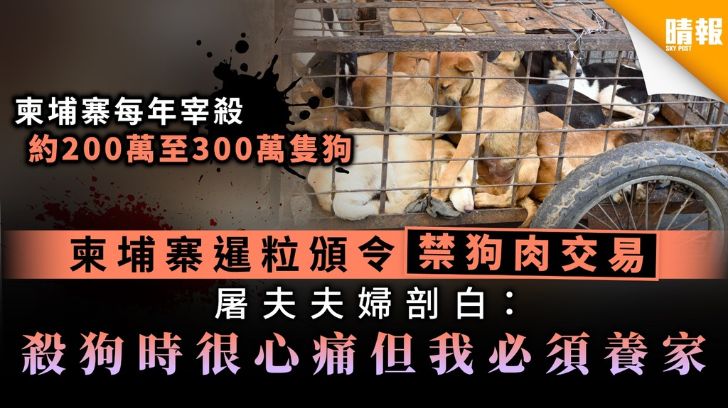 【狗肉禁令】柬埔寨暹粒頒令禁狗肉交易 屠場夫婦剖白：殺狗時很心痛但我必須養家