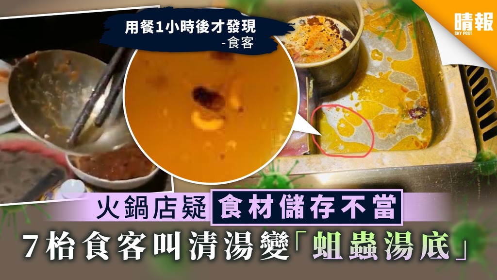 【食用安全】火鍋店疑食材儲存不當 7枱食客叫清湯變「蛆蟲湯底」