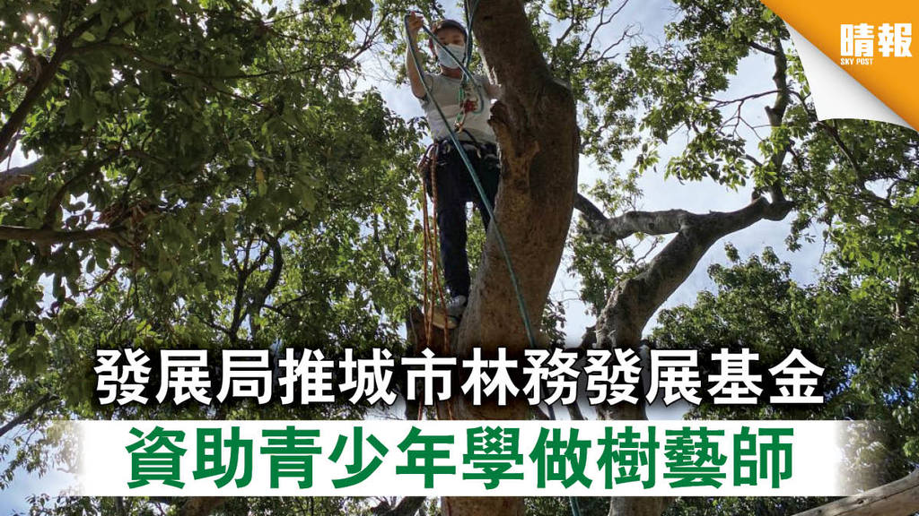 【培養人才】發展局推城市林務發展基金 資助青少年學做樹藝師