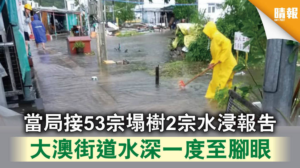 【海高斯颱風】當局接53宗塌樹2宗水浸報告 大澳街道水深一度至腳眼 