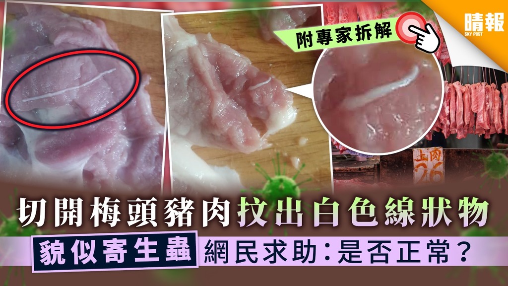 【食用安全】切開梅頭豬肉抆出白色線狀物體 貌似寄生蟲網民求助：是否正常？【附專家拆解】