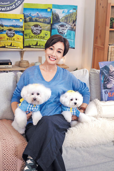 江美儀自認「狗奴」 狗仔衫堆滿櫃