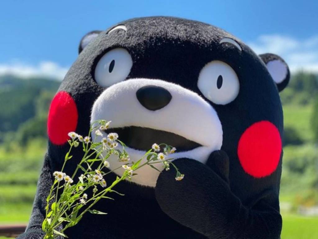 日本吉祥物熊本熊被 迫婚 熊本縣拒絕 他只是個孩子 Ezone Hk 網絡生活 網絡熱話 D1009