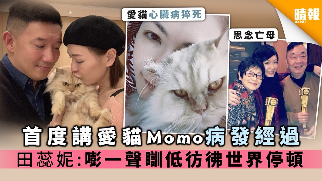首度講愛貓Momo病發經過 田蕊妮:嘭一聲瞓低彷彿世界停頓