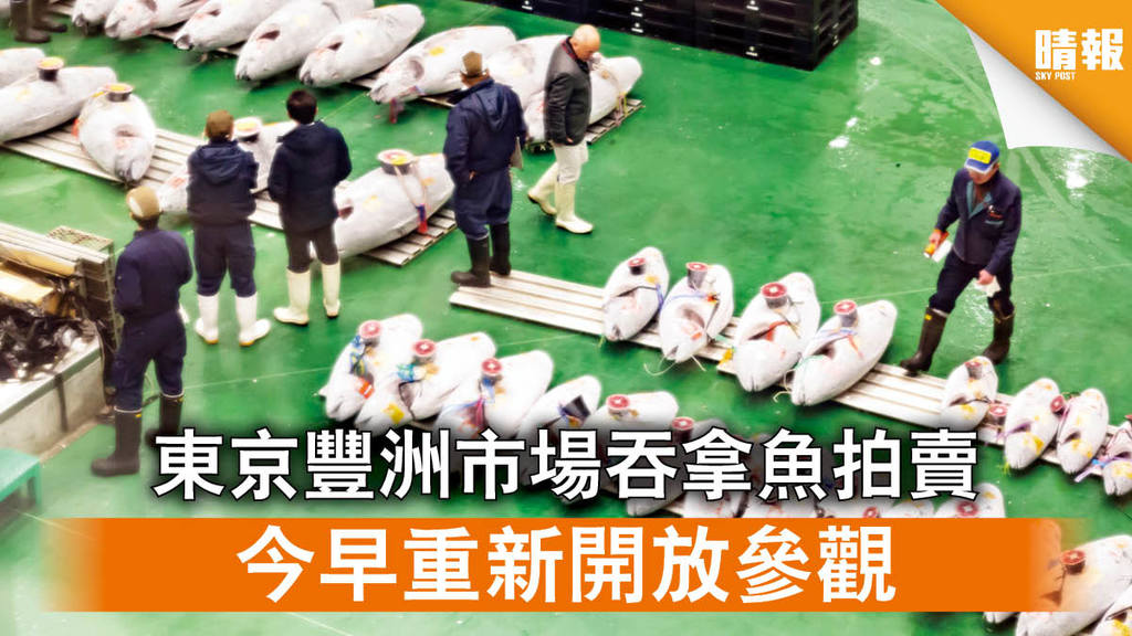 【日韓記事】8個月來首次 東京豐洲市場吞拿魚拍賣 今早重新開放參觀