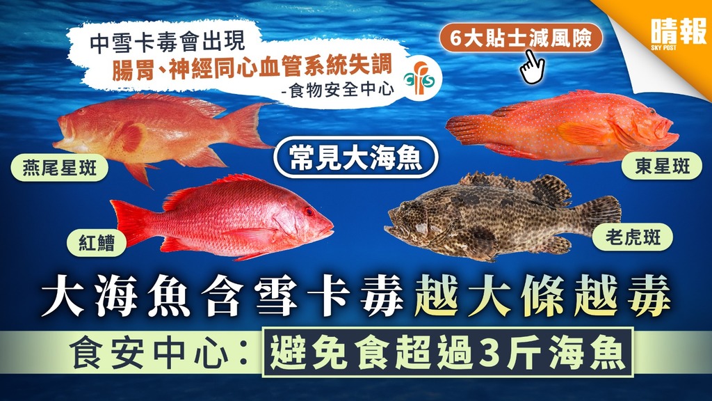 【食物安全】大海魚含雪卡毒越大條越毒 食安中心：避免食超過3斤海魚