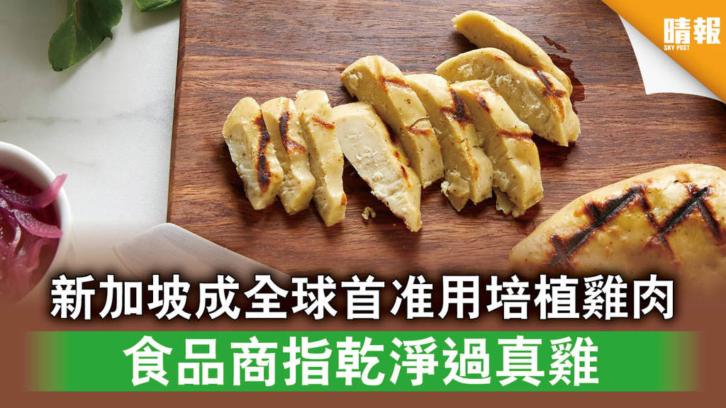 未來食物│新加坡成全球首准用培植雞肉 食品商指乾淨過真雞