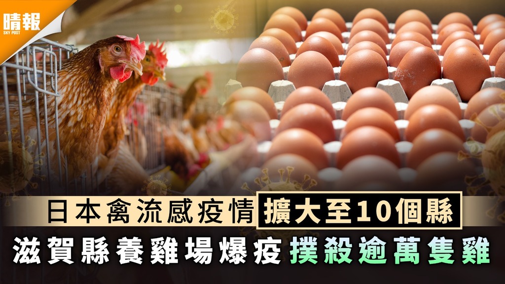 禽流感｜日本禽流感疫情擴大至10個縣 滋賀縣養雞場爆疫撲殺逾萬隻雞