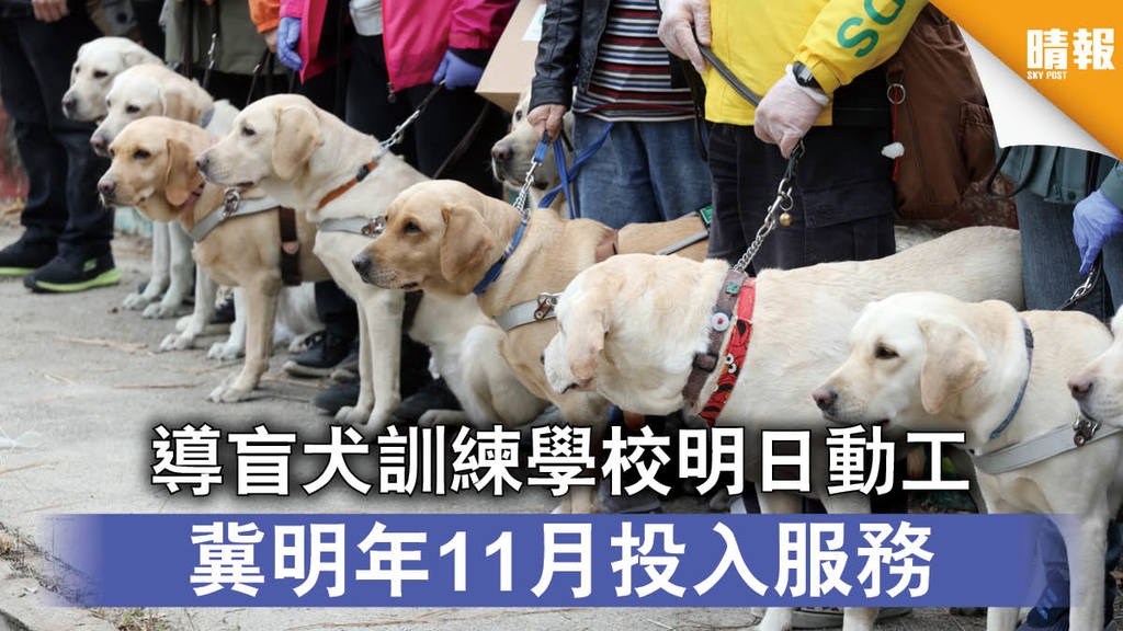 全港首間│導盲犬訓練學校明日動工 冀明年11月投入服務