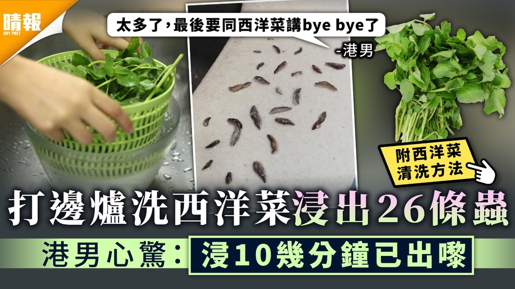 食用安全 打邊爐洗西洋菜浸出26條蟲港男心驚 浸10幾分鐘已出嚟 附洗西洋菜清洗方法 晴報 健康 飲食與運動
