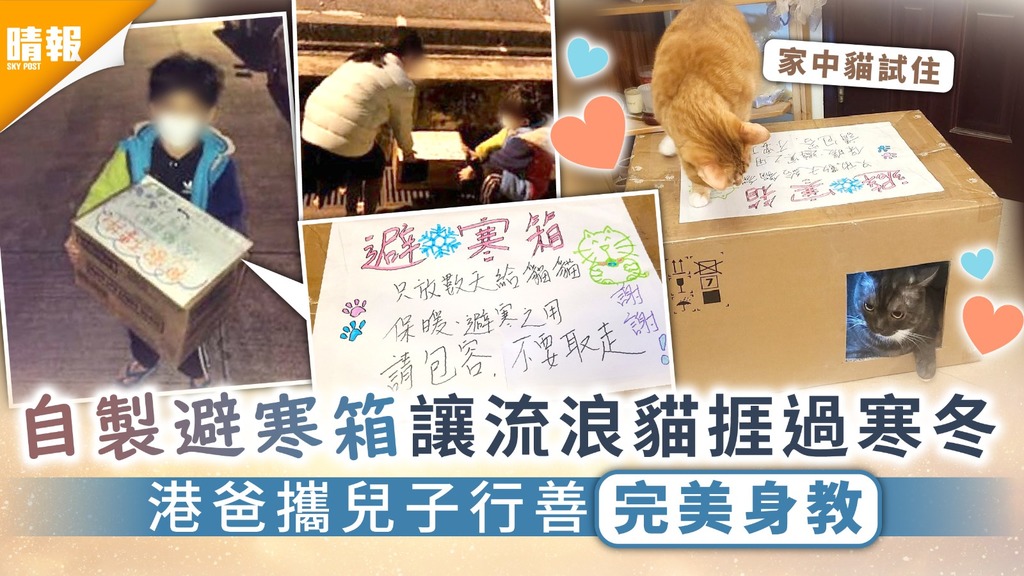 育兒之道︳自製避寒箱讓流浪貓捱過寒冬 港爸攜兒子行善完美身教
