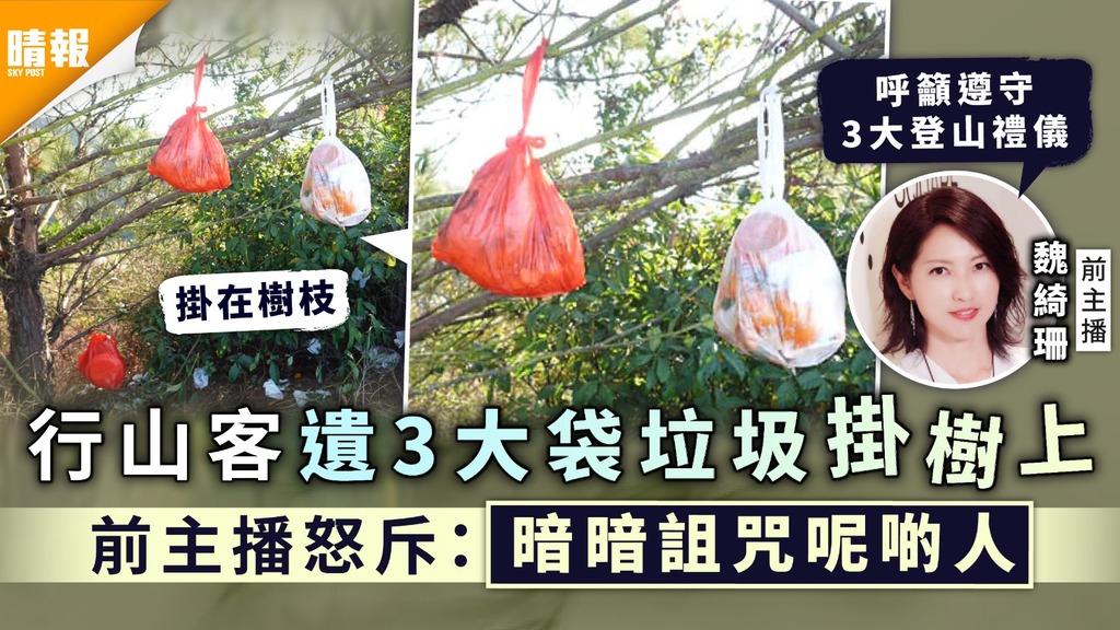 缺德遊人│行山客遺3大袋垃圾掛樹上 前主播怒斥：暗暗詛咒呢啲人