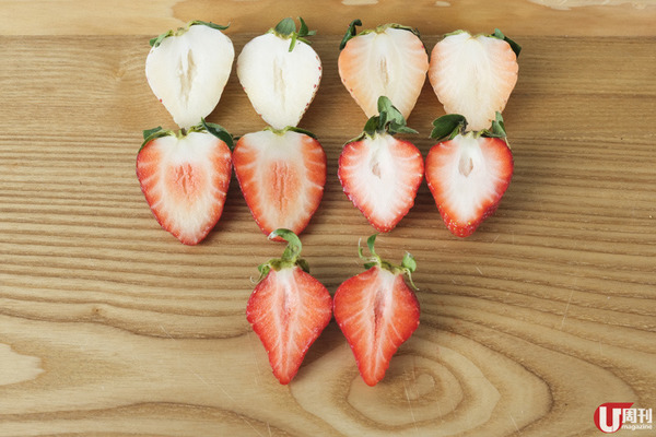 士多啤梨 時令必食 日本士多啤梨大解構 U Food 香港餐廳及飲食資訊優惠網站