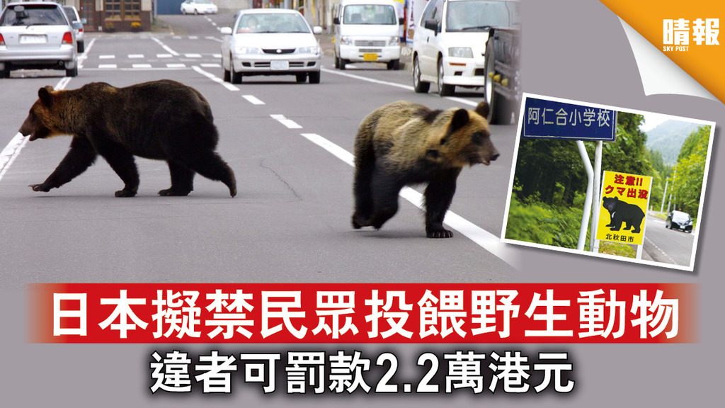 自然保育｜日本擬禁民眾投餵野生動物   違者可罰款2.2萬港元