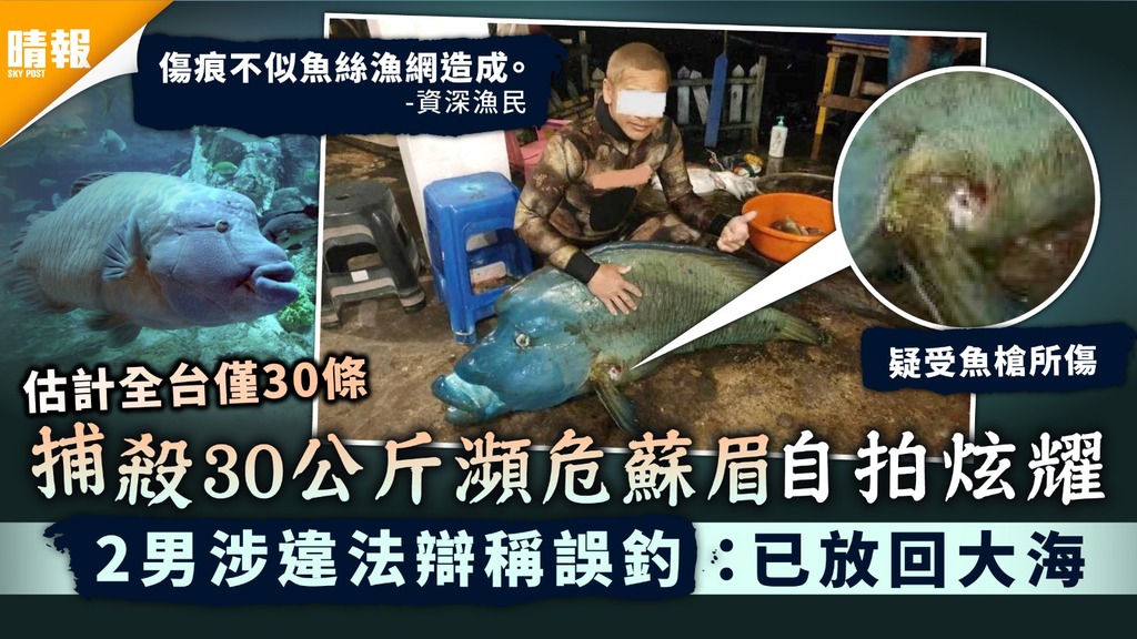 瀕危生物｜捕殺30公斤瀕危蘇眉自拍炫耀 2男涉違法辯稱誤釣：已放回大海